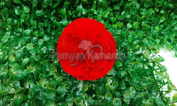 Голова гвоздики бархатной D=80mm